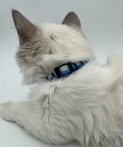 Blue & Black Cat Collar – Adjustable Breakaway Safety Collar | AcseDog