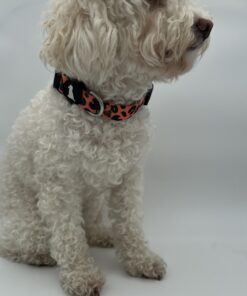 Leopard Print Dog Collar for Small to Medium Pets | Adjustable Bold Orange Animal Pattern Collar with Secure Black Buckle