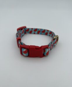 Watermelon Print Dog Collar