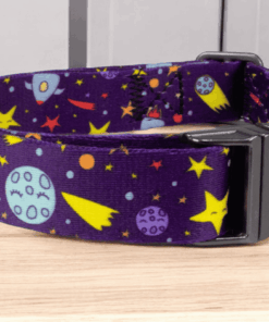 Dog Collars